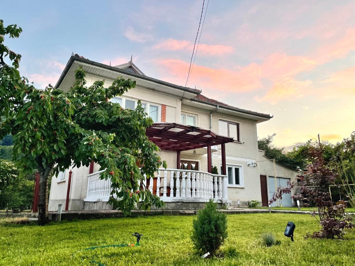 Vila Cozy, Panorama Superba, Gratar Si Relaxare Piatra Neamt Luaran gambar